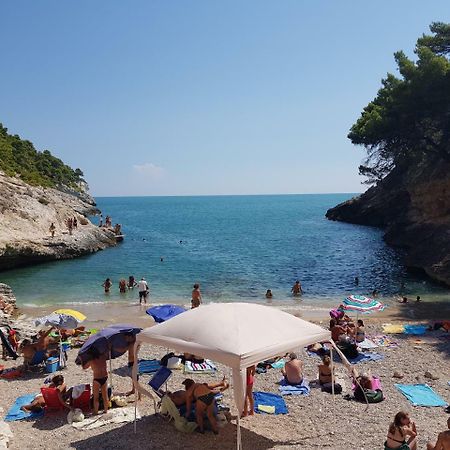 ויאסטה Villa Cala Della Pergola מראה חיצוני תמונה