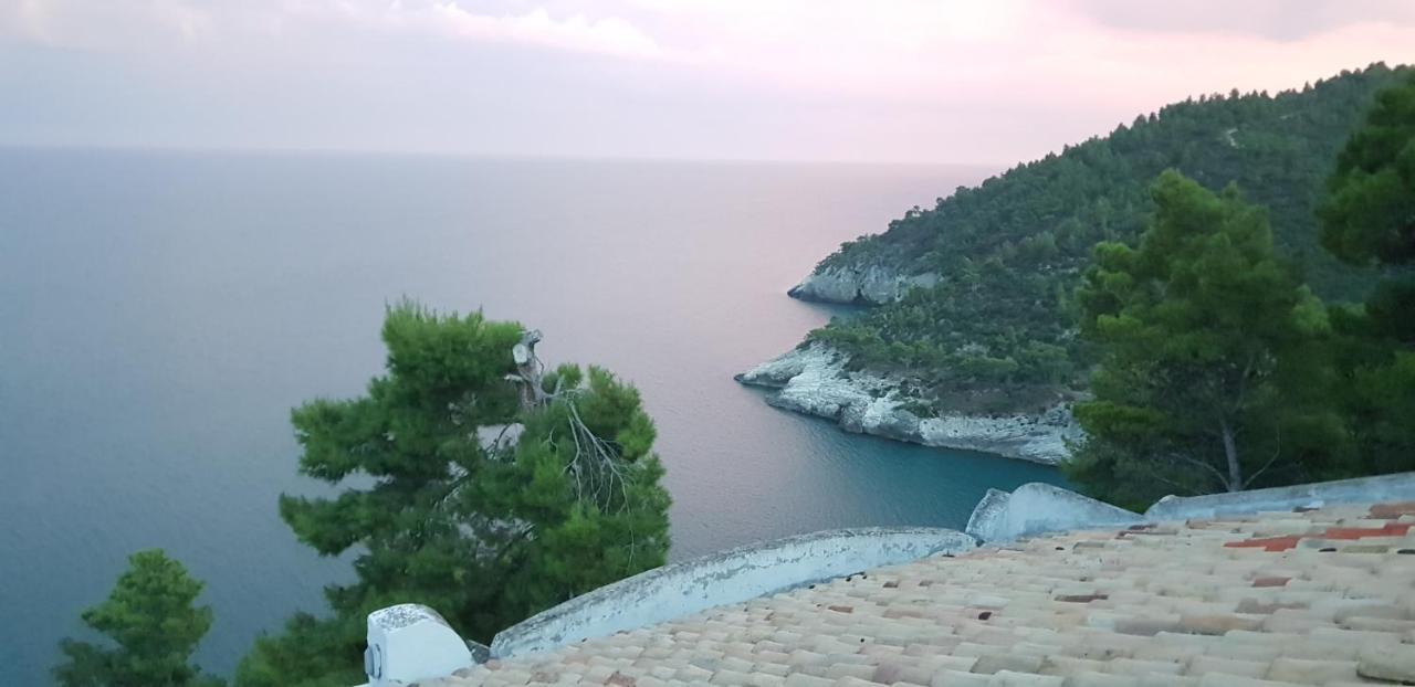 ויאסטה Villa Cala Della Pergola מראה חיצוני תמונה