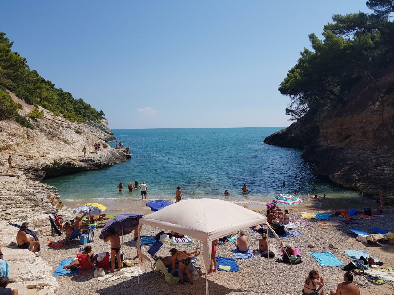 ויאסטה Villa Cala Della Pergola מראה חיצוני תמונה