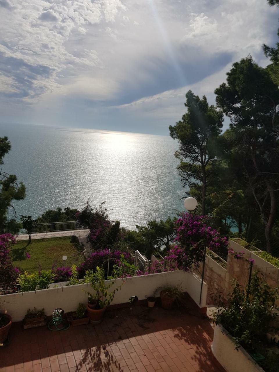 ויאסטה Villa Cala Della Pergola מראה חיצוני תמונה