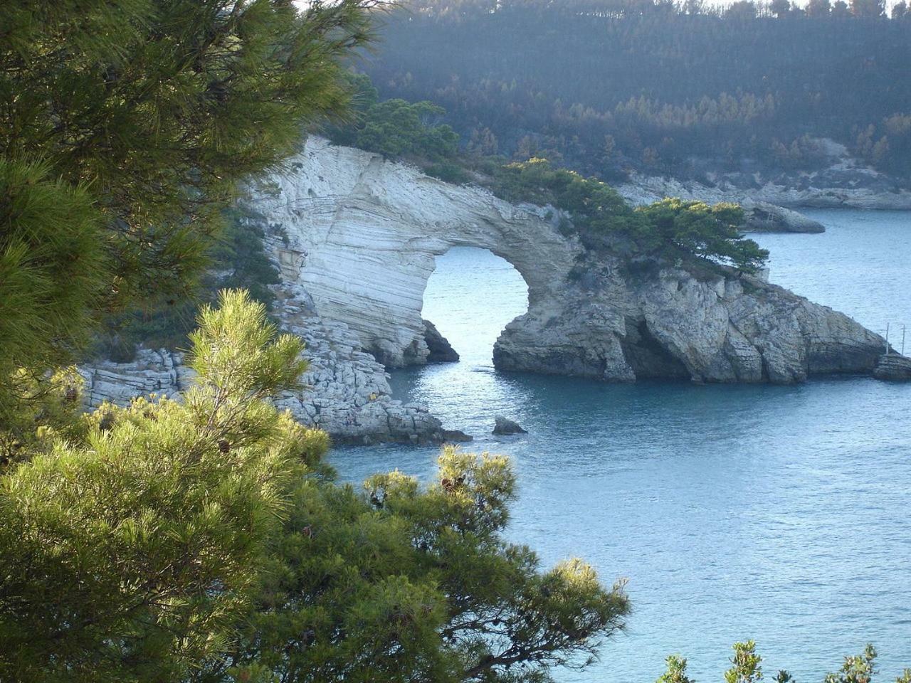 ויאסטה Villa Cala Della Pergola מראה חיצוני תמונה